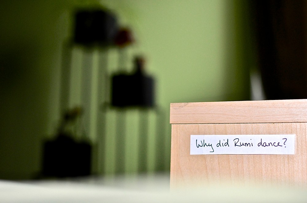 WhyDidRumiDance