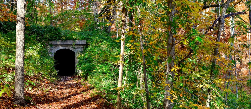 CuriouserAndCuriouser