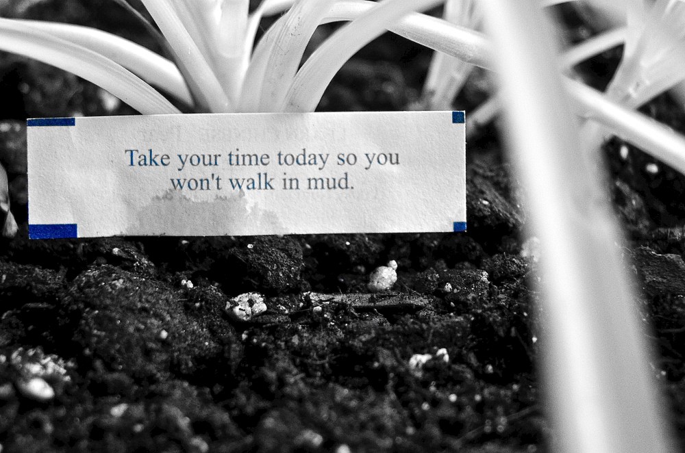 Take Your Time