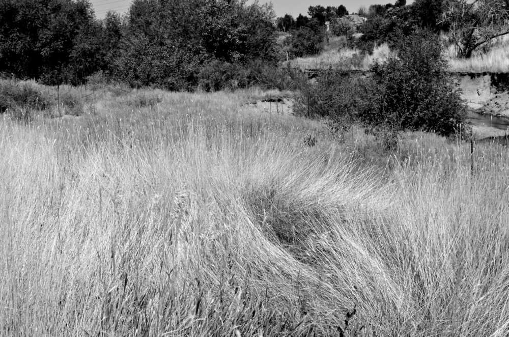 a-lasting-impression